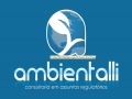 ambientalli-fundo-azul-logo